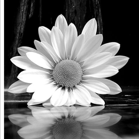 Welcome!🌼 - Picture 3 of 3